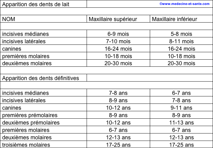 dentitionenfant1